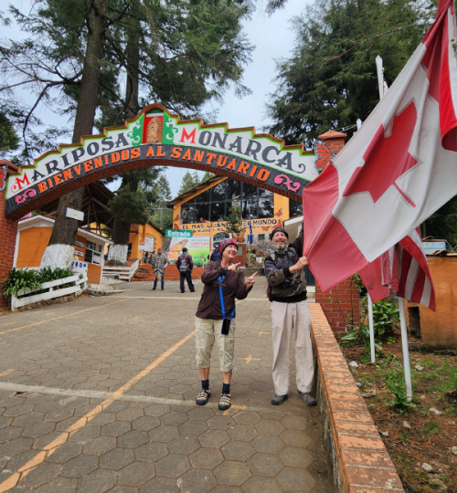mariposa monarca 2